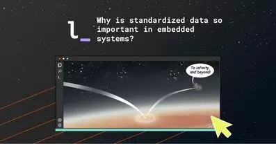 Why is standardized data so important in embedded systems?